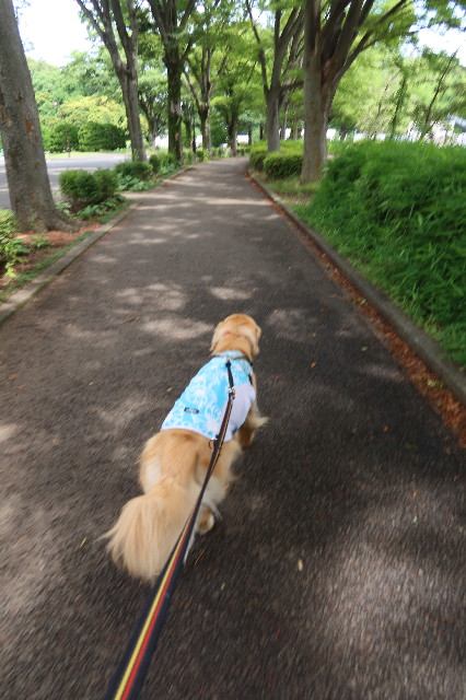 ファイル 7658-4.jpg