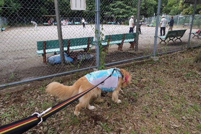 ファイル 7659-1.jpg