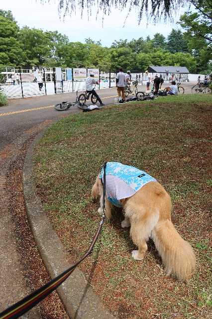 ファイル 7659-2.jpg