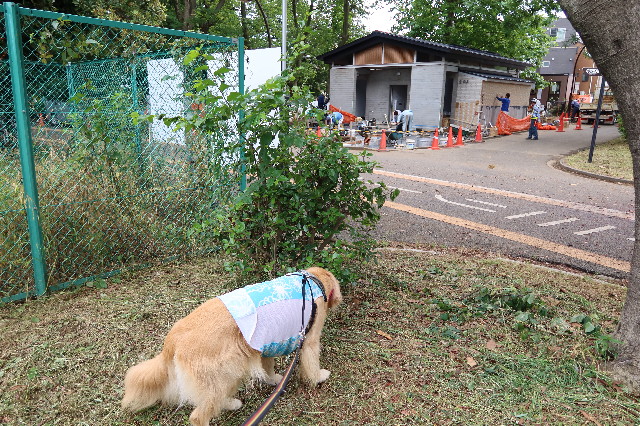 ファイル 7659-3.jpg