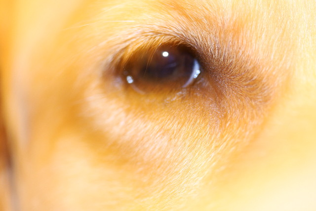 ファイル 766-4.jpg