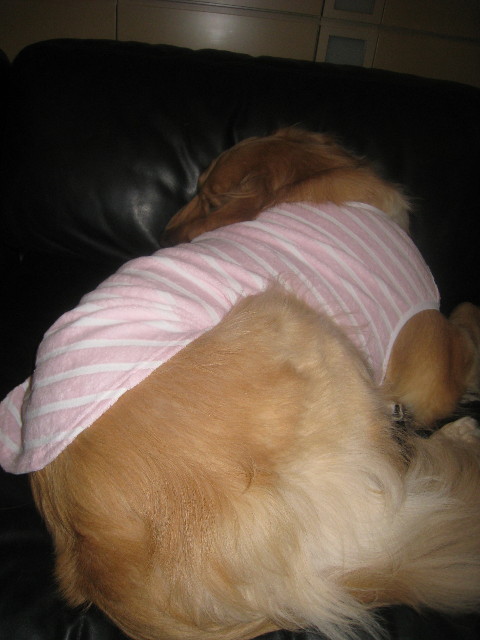 ファイル 766-5.jpg