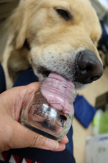 ファイル 7662-5.jpg