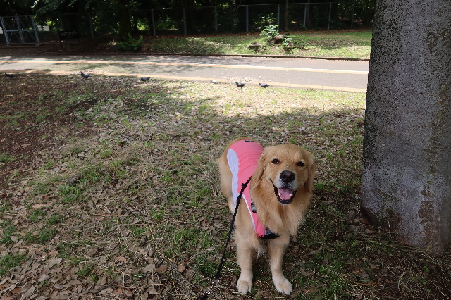 ファイル 7664-2.jpg