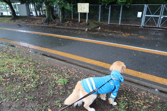 ファイル 7665-1.jpg