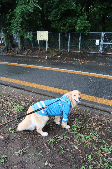 ファイル 7665-3.jpg