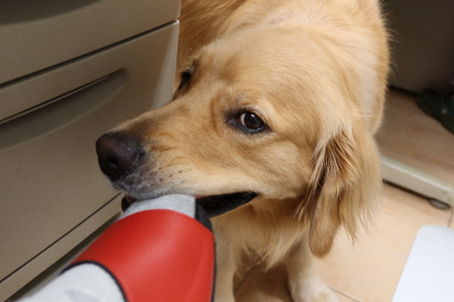 ファイル 7667-2.jpg