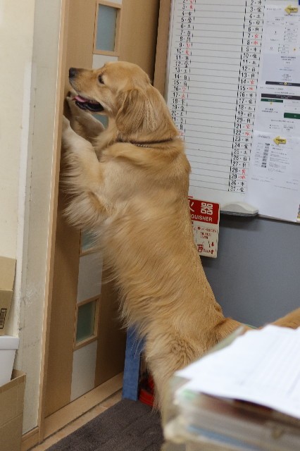 ファイル 7667-3.jpg