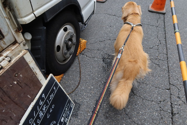 ファイル 7667-4.jpg