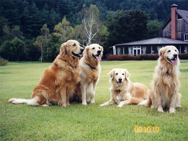 ファイル 7668-1.jpg