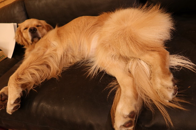 ファイル 7668-3.jpg