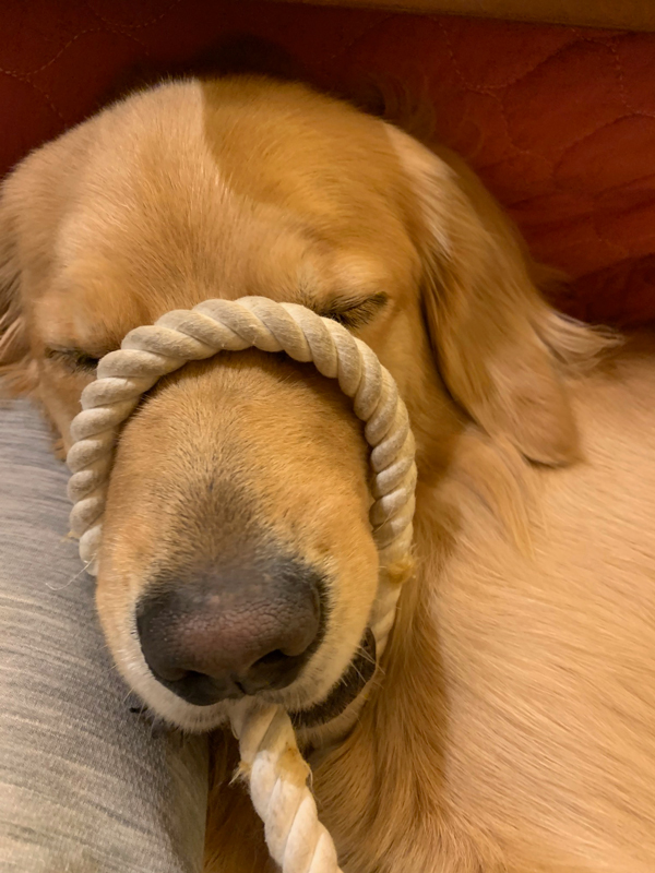 ファイル 7668-4.jpg