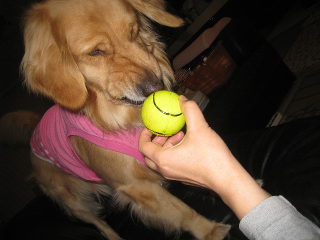 ファイル 767-1.jpg