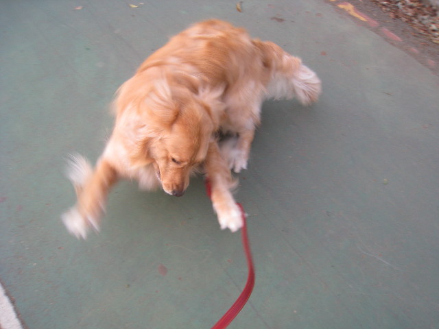 ファイル 767-4.jpg