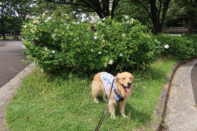 ファイル 7670-1.jpg