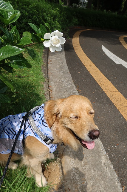 ファイル 7670-2.jpg