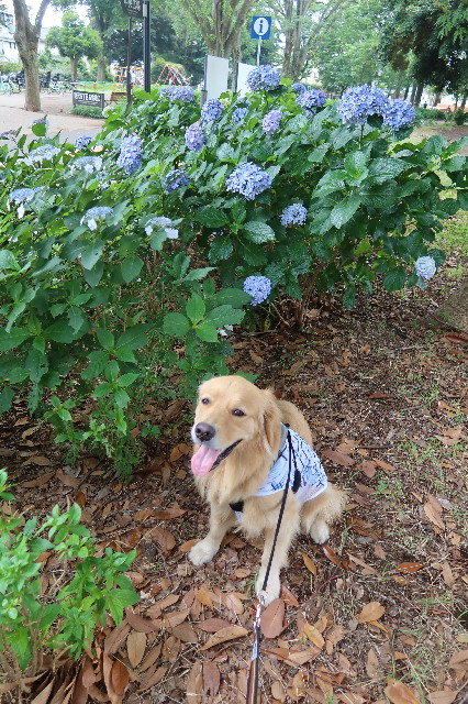 ファイル 7670-3.jpg