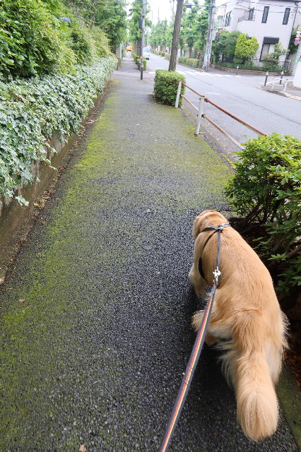 ファイル 7671-3.jpg