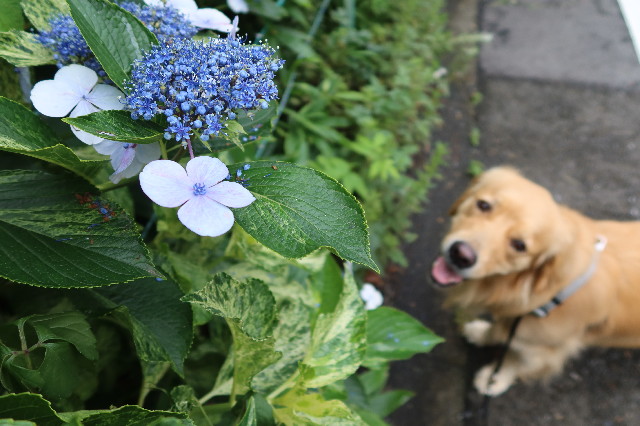 ファイル 7671-4.jpg