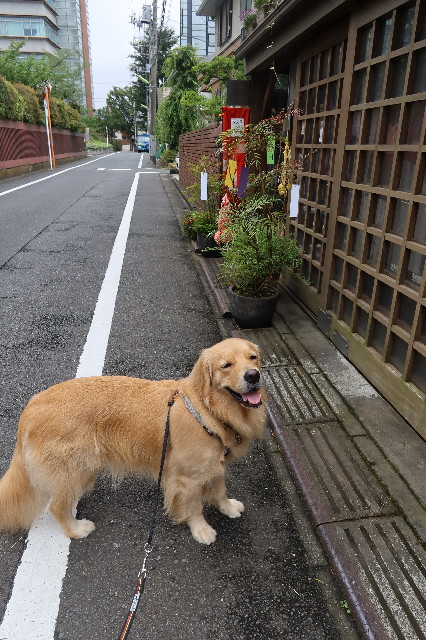 ファイル 7671-5.jpg