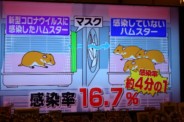 ファイル 7672-5.jpg