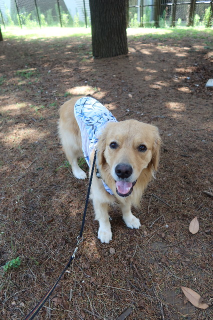 ファイル 7675-2.jpg