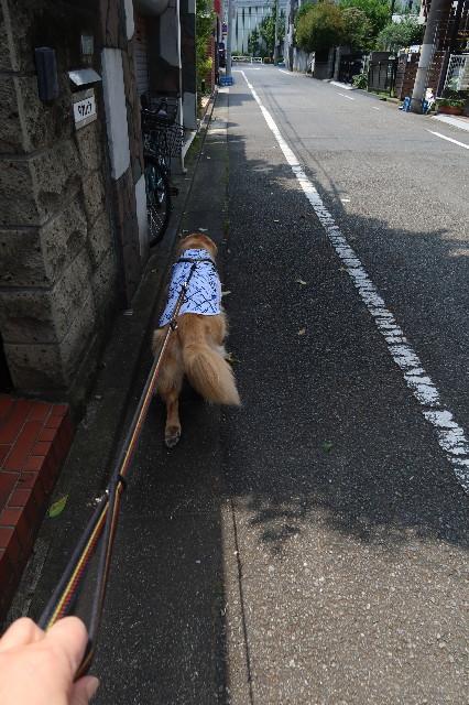 ファイル 7675-4.jpg