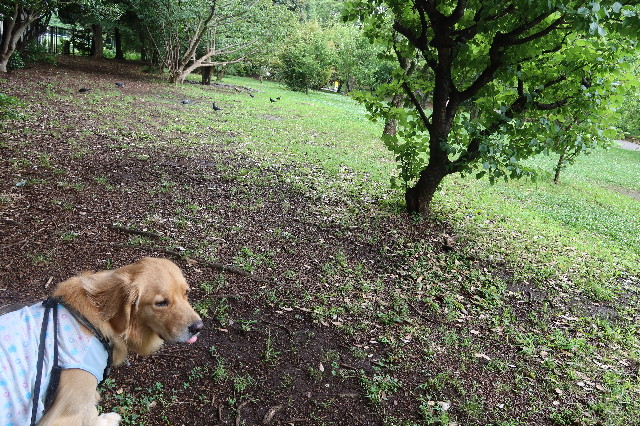 ファイル 7676-3.jpg