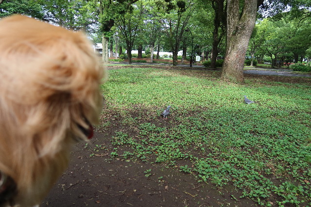 ファイル 7676-4.jpg