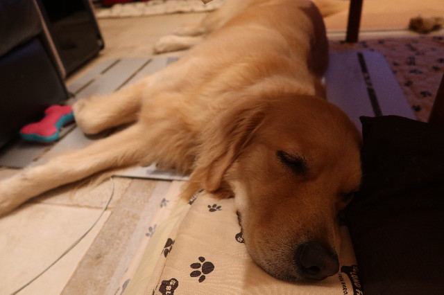 ファイル 7678-4.jpg