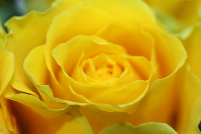 ファイル 768-4.jpg