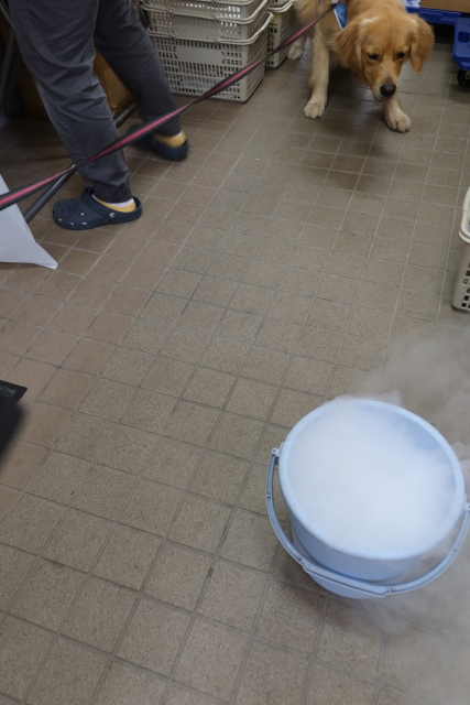 ファイル 7680-1.jpg