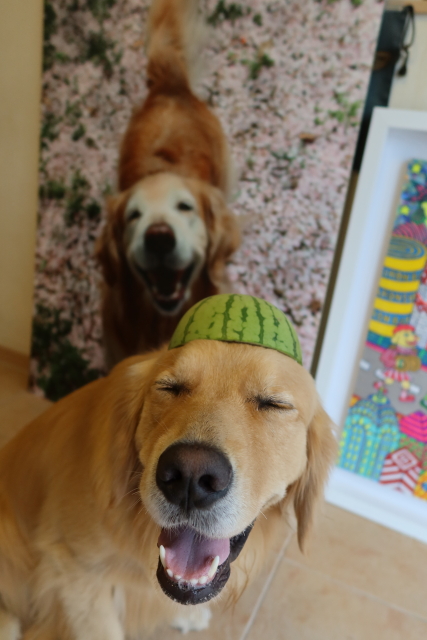 ファイル 7680-5.jpg