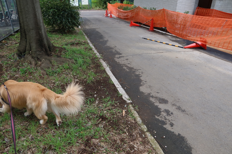 ファイル 7681-3.jpg