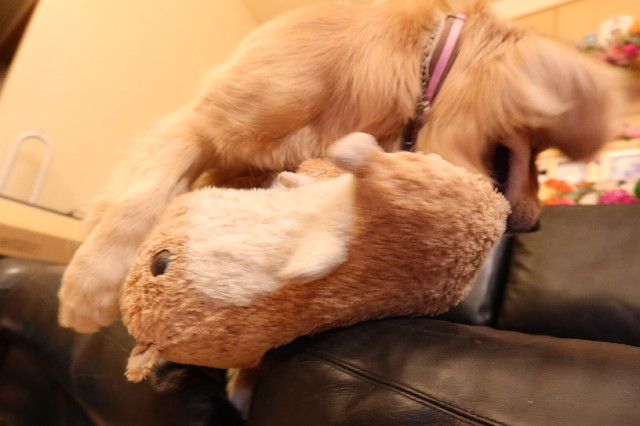 ファイル 7682-5.jpg