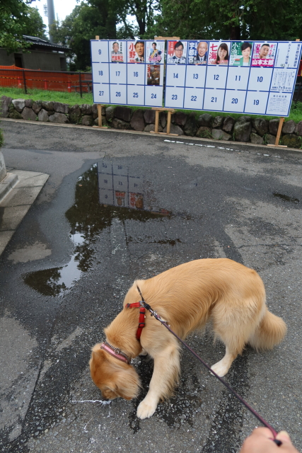 ファイル 7684-5.jpg