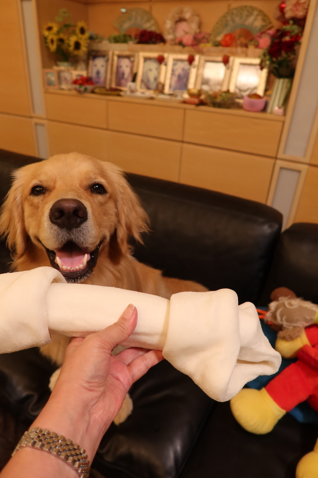 ファイル 7687-3.jpg