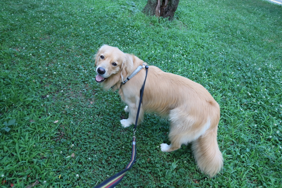 ファイル 7687-5.jpg