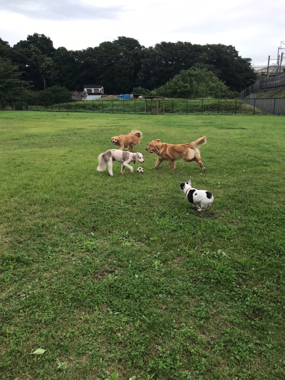 ファイル 7689-1.jpg