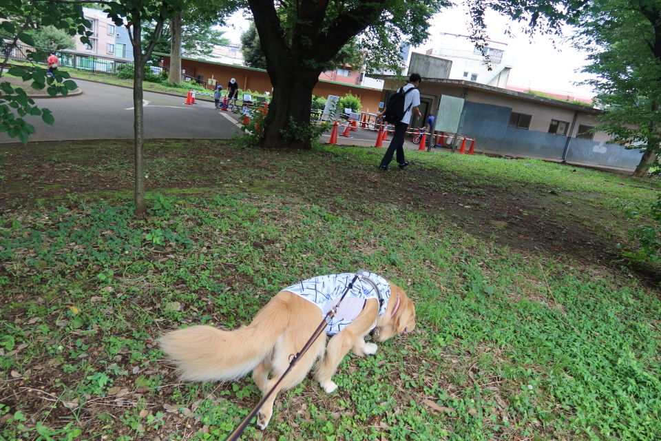 ファイル 7691-2.jpg