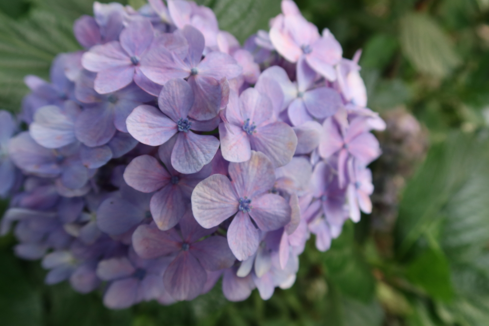 ファイル 7691-5.jpg