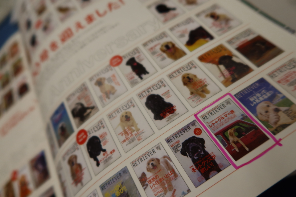 ファイル 7692-1.jpg