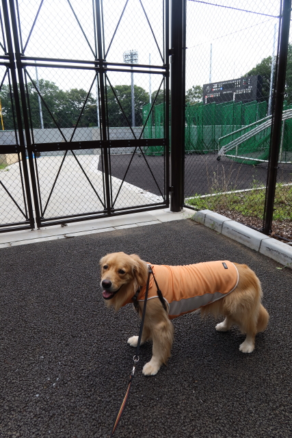 ファイル 7693-2.jpg