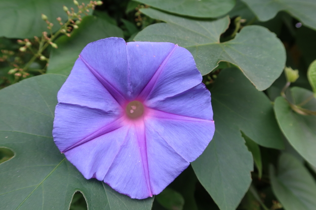 ファイル 7694-3.jpg