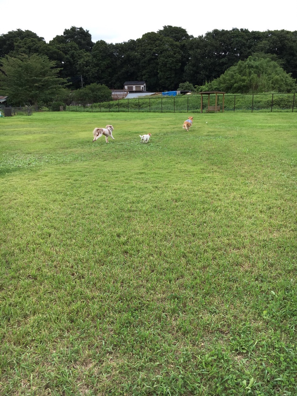 ファイル 7697-1.jpg