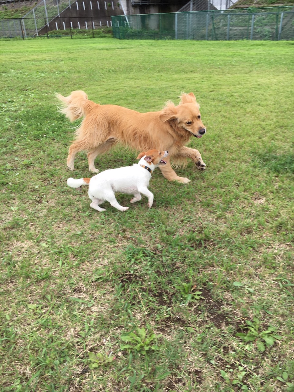 ファイル 7697-4.jpg