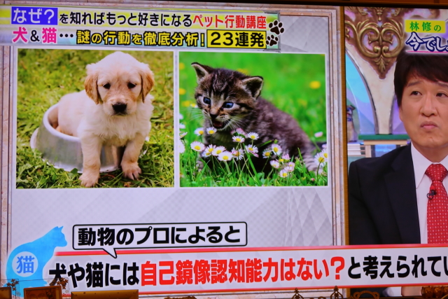 ファイル 7699-1.jpg