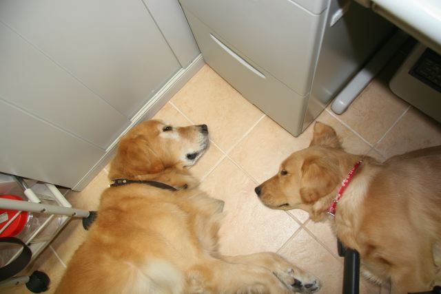 ファイル 77-1.jpg