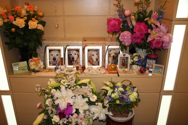 ファイル 770-4.jpg