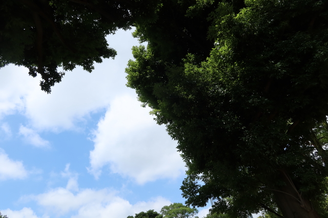 ファイル 7700-1.jpg